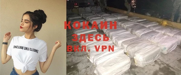 прущие грибы Белокуриха