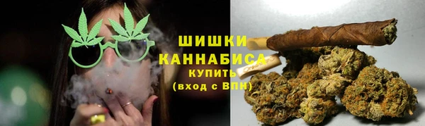 прущие грибы Белокуриха