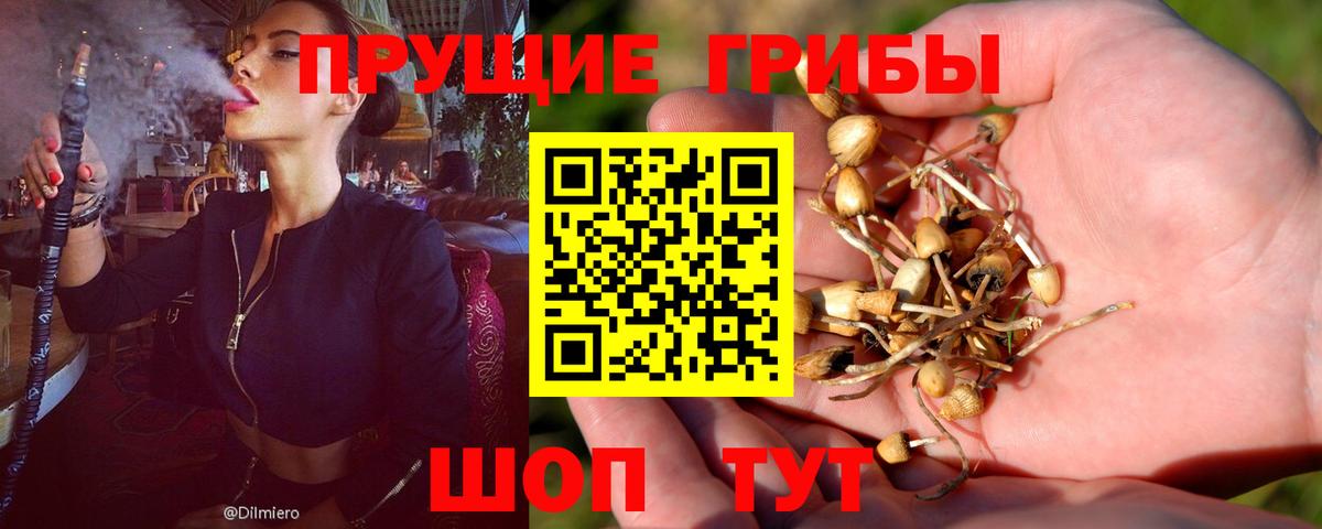 Галлюциногенные грибы GOLDEN TEACHER Верхний Уфалей